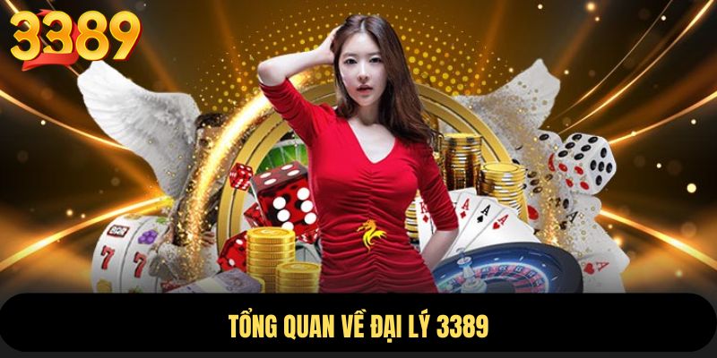 Khám phá về chương trình đại lý 3389